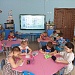 Хвойные красавицы