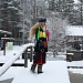 Новогодние забавы 2017
