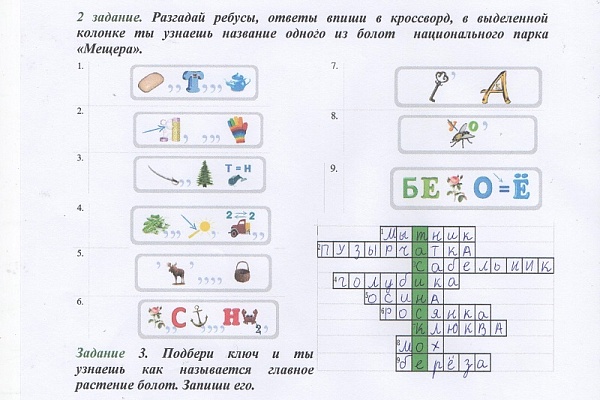 Младшие школьники узнали о растениях болот