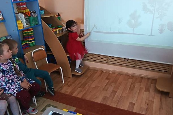 Хвойные красавицы