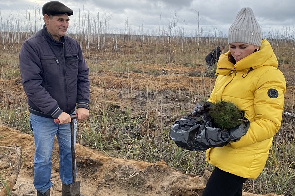 Акция «Возродим леса России»