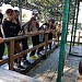 ЛЕТО ВЗЯЛО В РУКИ КРАСКИ…