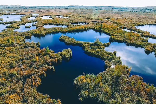 Национальному парку "Мещера" - 27 лет