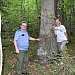 Заметки путешественника. Национальный парк «Мещера».
