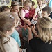 Хвойные красавицы