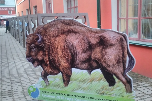 Встречи на Калужской земле