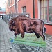 Встречи на Калужской земле
