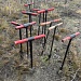 Акция «Возродим леса России»