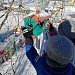 Зимняя подкормка — помощь пернатым друзьям