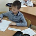 Рассвет в лесу