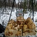 Итоги межрегиональной акции «Помоги птицам»