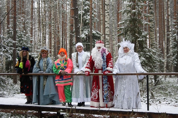 Новогодние забавы 2017