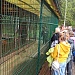 МАЙСКИЕ ХЛОПОТЫ НА «ПОДВОРЬЕ»