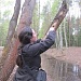 В НАЦИОНАЛЬНОМ ПАРКЕ «МЕЩЕРА» ПОДВЕЛИ ИТОГИ НАУЧНО-ИССЛЕДОВАТЕЛЬСКОЙ ДЕЯТЕЛЬНОСТИ