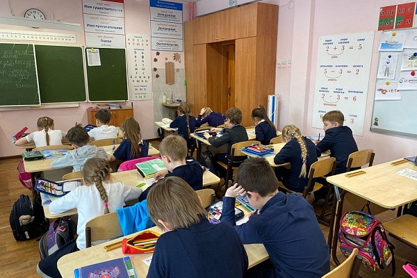 Младшие школьники узнали о растениях болот