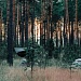 СТУДЕНТЫ МОСКОВСКИХ ВУЗОВ В НАЦИОНАЛЬНОМ ПАРКЕ «МЕЩЕРА»
