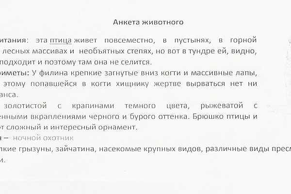 «Письма животным» - итоги