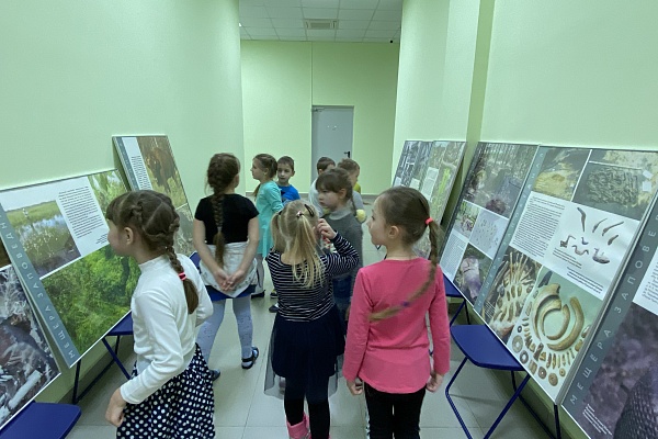 Выставка  « Мещера заповедная»