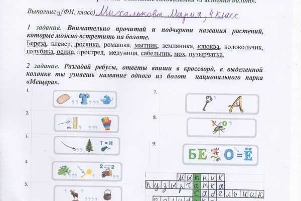 Младшие школьники узнали о растениях болот