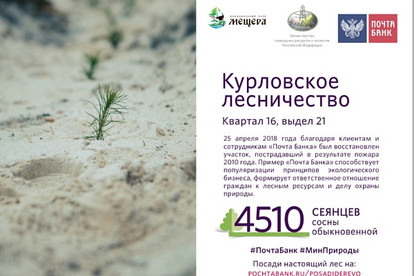 Старт лесовосстановительных работ