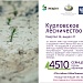 Старт лесовосстановительных работ