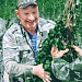 Осветление лесных культур