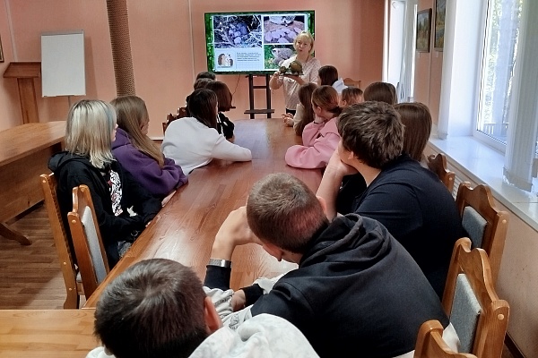 Знакомство с  национальным парком «Мещера» и профессиями лесного хозяйства