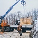 Вторая партия зубров "переехала" в Мордовию