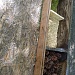 В РЯЗАНИ ПРИРОДА СТАЛА ДОСТУПНОЙ ДЕТЯМ С ОГРАНИЧЕННЫМИ ВОЗМОЖНОСТЯМИ ЗДОРОВЬЯ