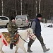ЗИМА С ВЕСНОЮ ВСТРЕТИЛИСЬ НА РУССКОМ ПОДВОРЬЕ