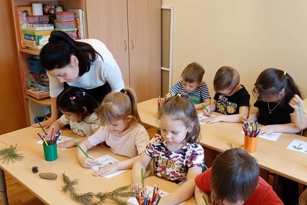 Хвойные красавицы