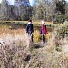 Экологический праздник "День работников леса" 
