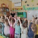 Хвойные красавицы
