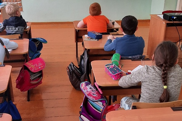 Младшие школьники узнали о растениях болот