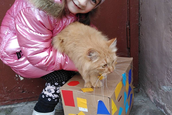 Акция, которая стала ежегодной