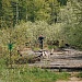 Трейлраннинг в Мещере