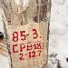 В лесу лес искали (очерк)