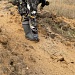 Акция «Возродим леса России»