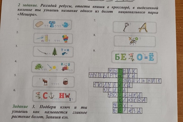 Младшие школьники узнали о растениях болот
