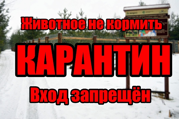 Внимание! Карантин!