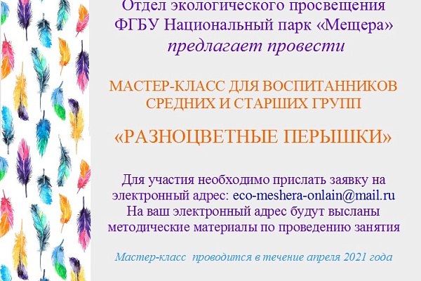 Мастер-класс "Разноцветные перышки"
