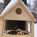 БОЛЕЕ 4,5 ТЫСЯЧ ЧЕЛОВЕК ПОМОГЛИ ПТИЦАМ ЭТОЙ ЗИМОЙ