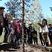 ЛЕТО ВЗЯЛО В РУКИ КРАСКИ…