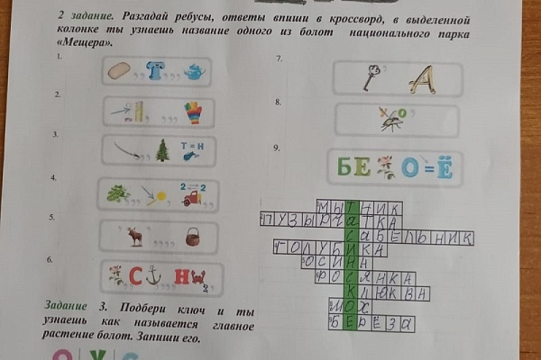 Младшие школьники узнали о растениях болот