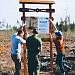 Подари лес другу