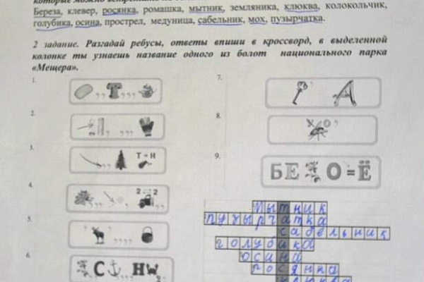 Младшие школьники узнали о растениях болот