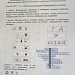 Младшие школьники узнали о растениях болот