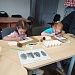 Занятие про Удивительные шишки в национальном парке «Мещерский»