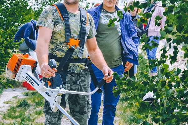 Осветление лесных культур