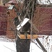 Итоги региональной акции «Помоги птицам»  в рамках Ежегодной Общероссийской эколого-культурной акции  «Покормите птиц» - 2024